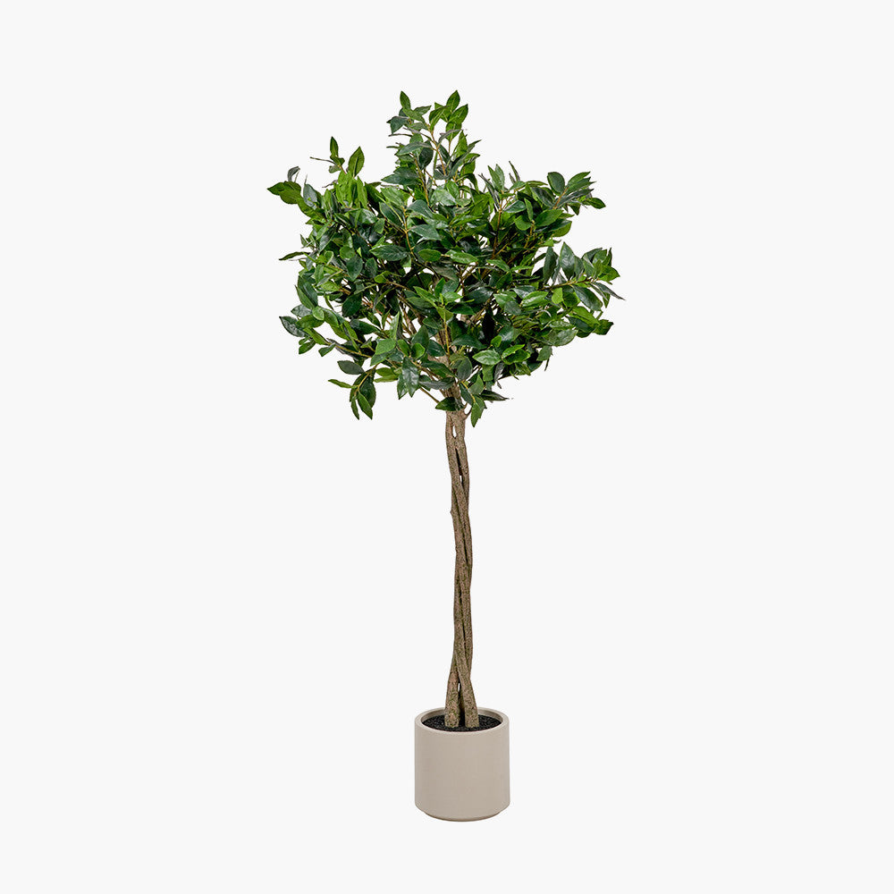Artificial Bay Tree in Pot | Medium